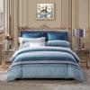 Gray and Blue Striped Masculine Simply Modern Chic Bedding Sets for Adult